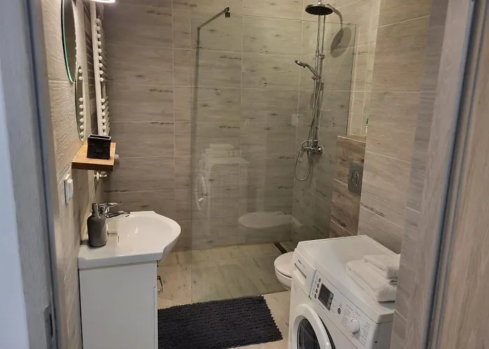 Gasiorowskich 4 公寓 波兹南